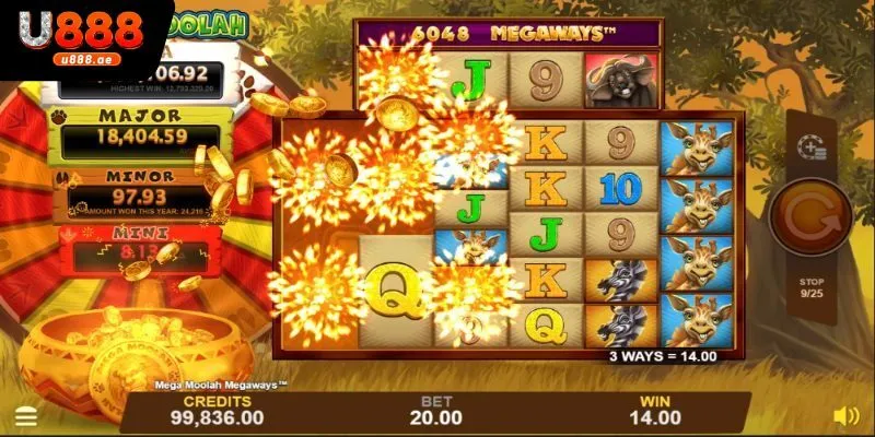 Giới thiệu sơ lược về trò chơi Slot Mega Moolah